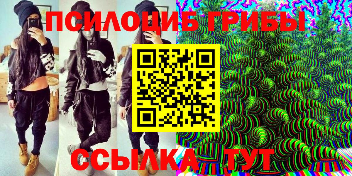 Псилоцибиновые грибы прущие грибы  Вход с VPN  Ефремов  Галлюциногенные грибы мицелий 